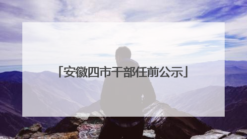 安徽四市干部任前公示