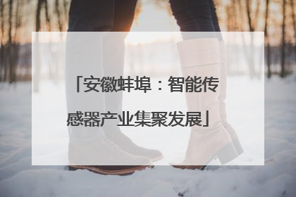 安徽蚌埠：智能传感器产业集聚发展