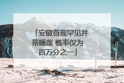 安徽首现罕见并蒂睡莲 概率仅为百万分之一