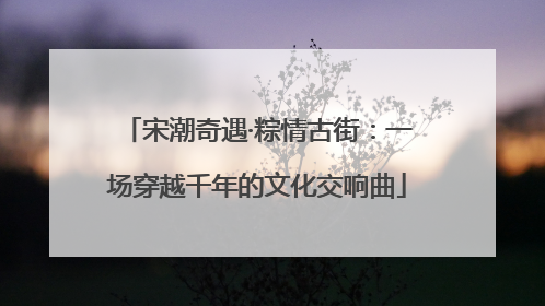宋潮奇遇·粽情古街：一场穿越千年的文化交响曲