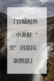 宜城税务：小龙虾“烹”出富民新图景