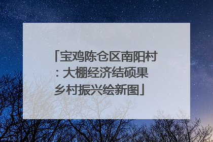 宝鸡陈仓区南阳村：大棚经济结硕果 乡村振兴绘新图