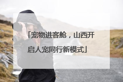 宠物进客舱，山西开启人宠同行新模式