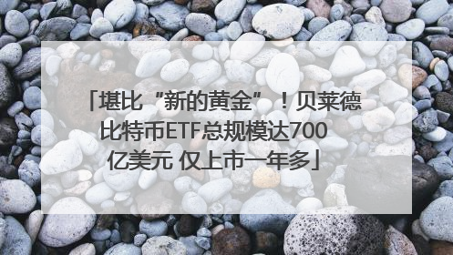 堪比“新的黄金”！贝莱德比特币ETF总规模达700亿美元 仅上市一年多