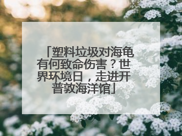 塑料垃圾对海龟有何致命伤害？世界环境日，走进开普敦海洋馆