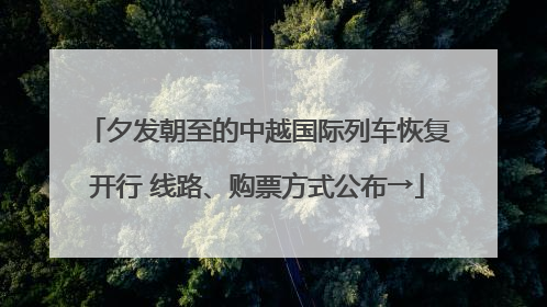 夕发朝至的中越国际列车恢复开行 线路、购票方式公布→