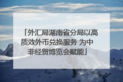 外汇局湖南省分局以高质效外币兑换服务 为中非经贸博览会赋能