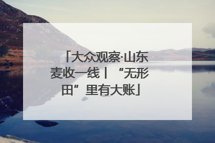 大众观察·山东麦收一线丨“无形田”里有大账