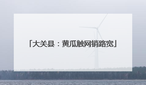 大关县：黄瓜触网销路宽