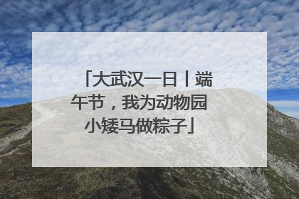 大武汉一日丨端午节，我为动物园小矮马做粽子