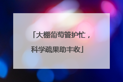 大棚葡萄管护忙，科学疏果助丰收