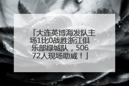 大连英博海发队主场1比0战胜浙江俱乐部绿城队，50672人现场助威！