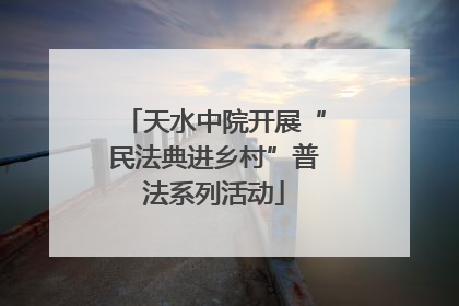 天水中院开展“民法典进乡村”普法系列活动