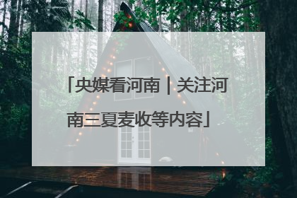 央媒看河南｜关注河南三夏麦收等内容