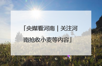 央媒看河南｜关注河南抢收小麦等内容