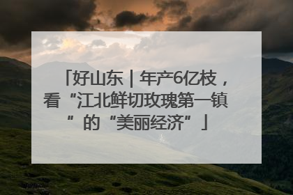 好山东｜年产6亿枝，看“江北鲜切玫瑰第一镇”的“美丽经济”