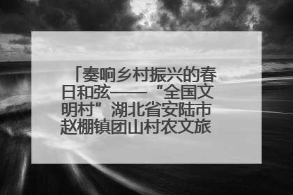 奏响乡村振兴的春日和弦——“全国文明村”湖北省安陆市赵棚镇团山村农文旅融合发展见闻