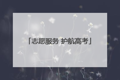 志愿服务 护航高考