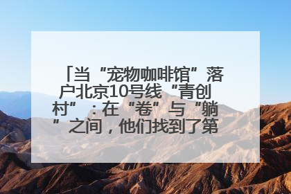 当“宠物咖啡馆”落户北京10号线“青创村”：在“卷”与“躺”之间，他们找到了第三种生活公式