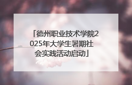 德州职业技术学院2025年大学生暑期社会实践活动启动