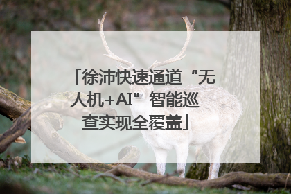 徐沛快速通道“无人机+AI”智能巡查实现全覆盖