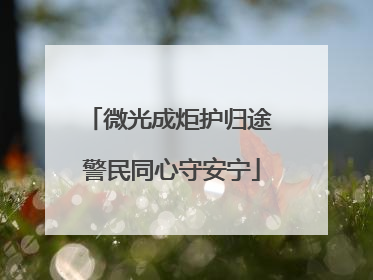 微光成炬护归途 警民同心守安宁