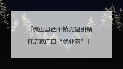 微山县西平镇党建引领打造家门口“就业圈”