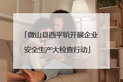 微山县西平镇开展企业安全生产大检查行动