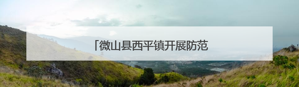 微山县西平镇开展防范涉农非法金融宣传活动