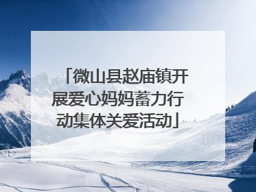 微山县赵庙镇开展爱心妈妈蓄力行动集体关爱活动