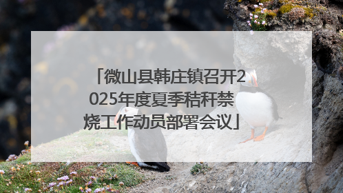 微山县韩庄镇召开2025年度夏季秸秆禁烧工作动员部署会议