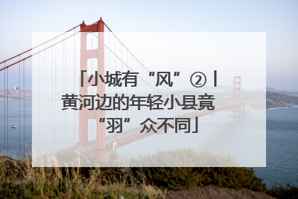 小城有“风”②丨黄河边的年轻小县竟“羽”众不同
