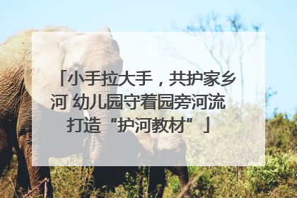 小手拉大手，共护家乡河 幼儿园守着园旁河流打造“护河教材”