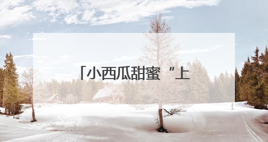 小西瓜甜蜜“上市”，顺义区北务镇进入采摘季