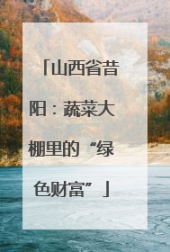 山西省昔阳：蔬菜大棚里的“绿色财富”
