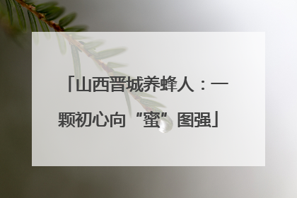 山西晋城养蜂人：一颗初心向“蜜”图强