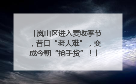 岚山区进入麦收季节，昔日“老大难”，变成今朝“抢手货”！