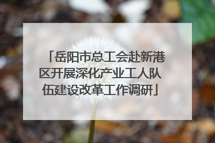 岳阳市总工会赴新港区开展深化产业工人队伍建设改革工作调研