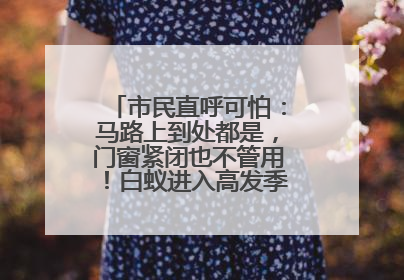 市民直呼可怕：马路上到处都是，门窗紧闭也不管用！白蚁进入高发季，但尚未达顶峰