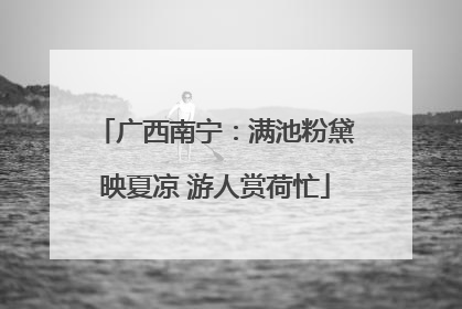 广西南宁：满池粉黛映夏凉 游人赏荷忙