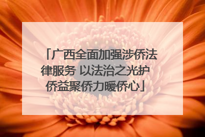 广西全面加强涉侨法律服务 以法治之光护侨益聚侨力暖侨心