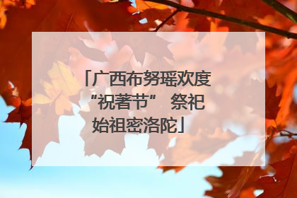 广西布努瑶欢度“祝著节” 祭祀始祖密洛陀