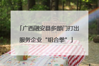 广西融安县多部门打出服务企业“组合拳”