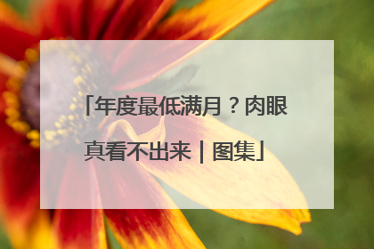 年度最低满月？肉眼真看不出来｜图集