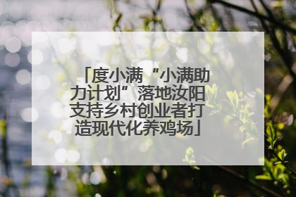 度小满“小满助力计划”落地汝阳支持乡村创业者打造现代化养鸡场