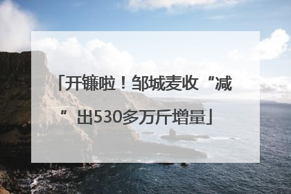 开镰啦！邹城麦收“减”出530多万斤增量