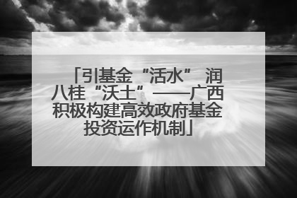 引基金“活水” 润八桂“沃土”——广西积极构建高效政府基金投资运作机制