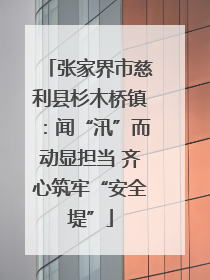 张家界市慈利县杉木桥镇：闻“汛”而动显担当 齐心筑牢“安全堤”