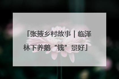 张掖乡村故事｜临泽林下养鹅“钱”景好