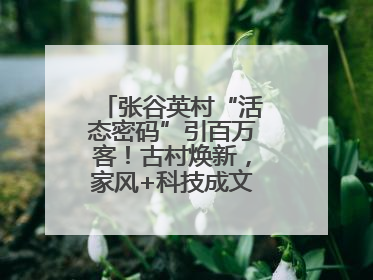 张谷英村“活态密码”引百万客！古村焕新，家风+科技成文旅融合新爆点
